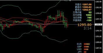 午夜石油：最艰难的路线,探寻最艰难路线的挑战与传奇